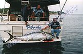 Bayliner 3288