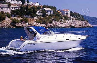 Ambasador 36