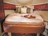 Sea Ray 455